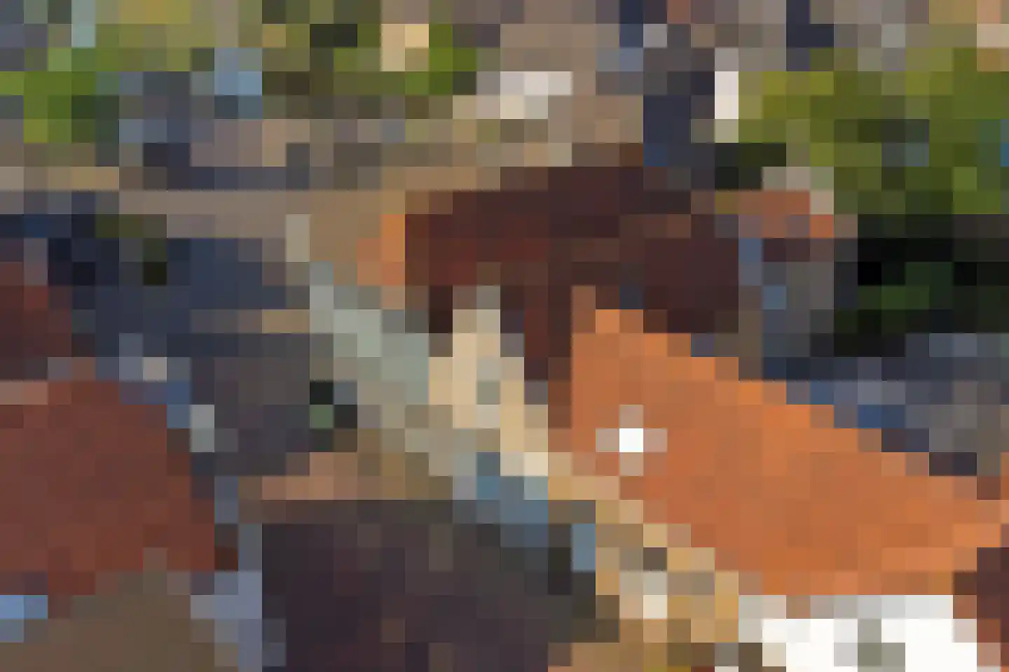Kerkstraat 3 Strijen thumbnail 8