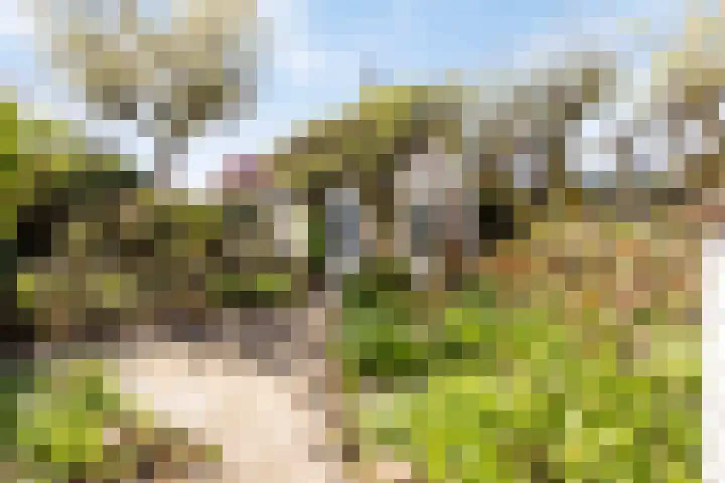 Kerkstraat 3 Waalre thumbnail 34