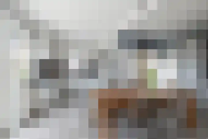 Kerkstraat 3 Wilp thumbnail 11
