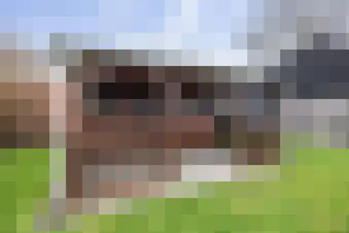Kerkstraat 3 Wilp thumbnail 35