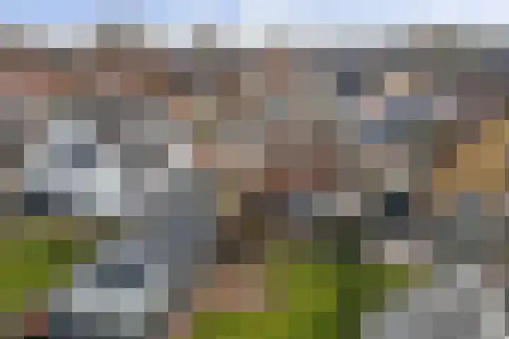 Kerkstraat 3 Wilp thumbnail 42