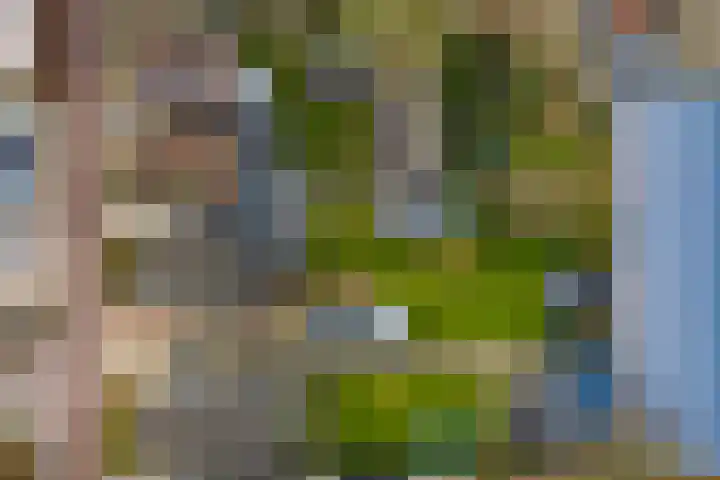 Kerkstraat 3 Wilp thumbnail 43
