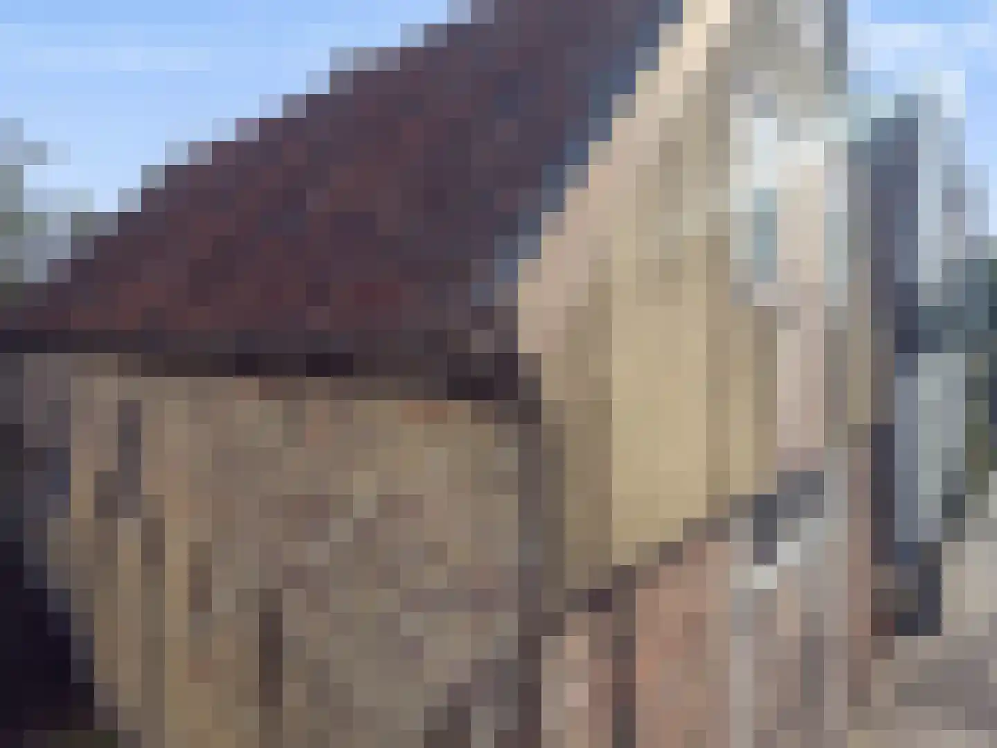 Kerkstraat 30 De Rijp thumbnail 24
