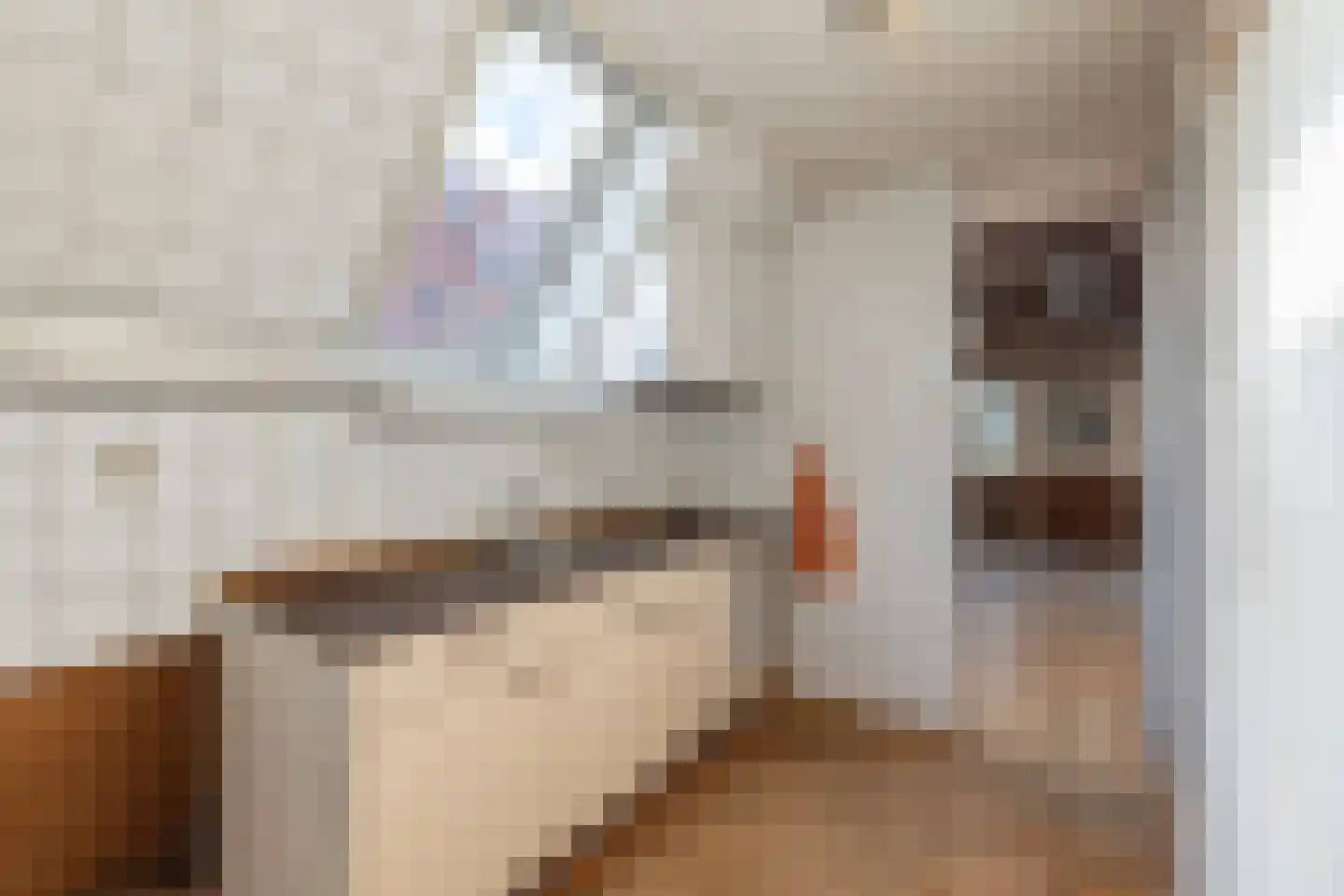 Kerkstraat 30 De Rijp thumbnail 8