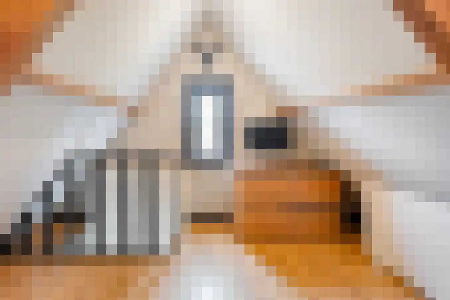 Kerkstraat 30 Lemelerveld thumbnail 30