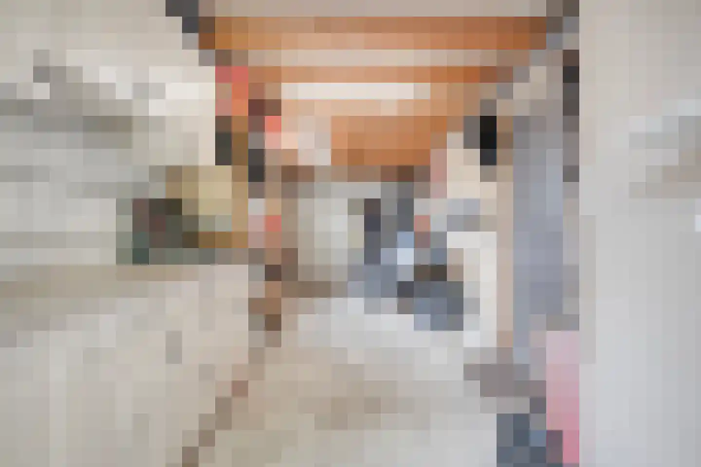Kerkstraat 30 Lemelerveld thumbnail 31
