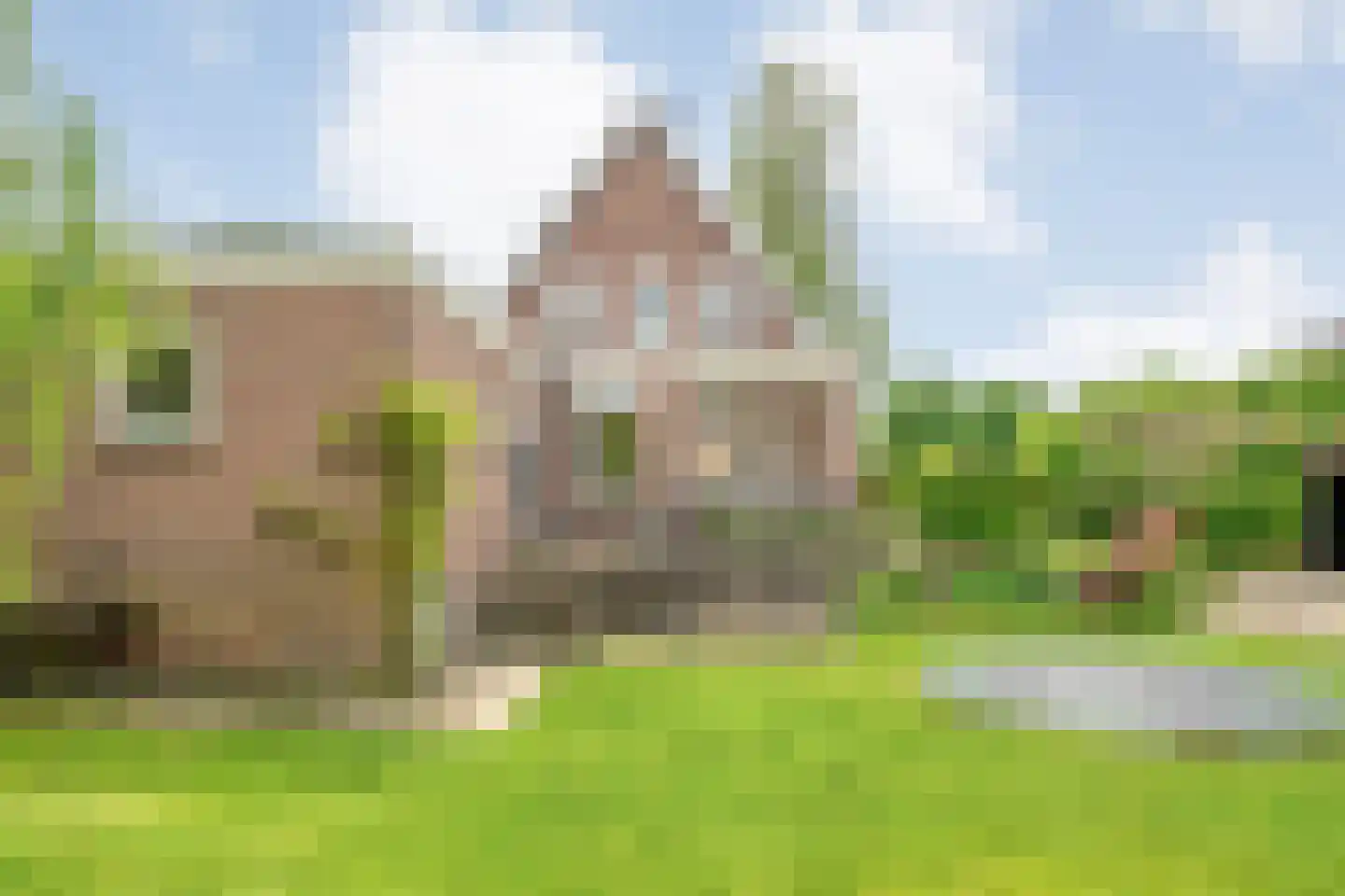 Kerkstraat 30 Lemelerveld thumbnail 33