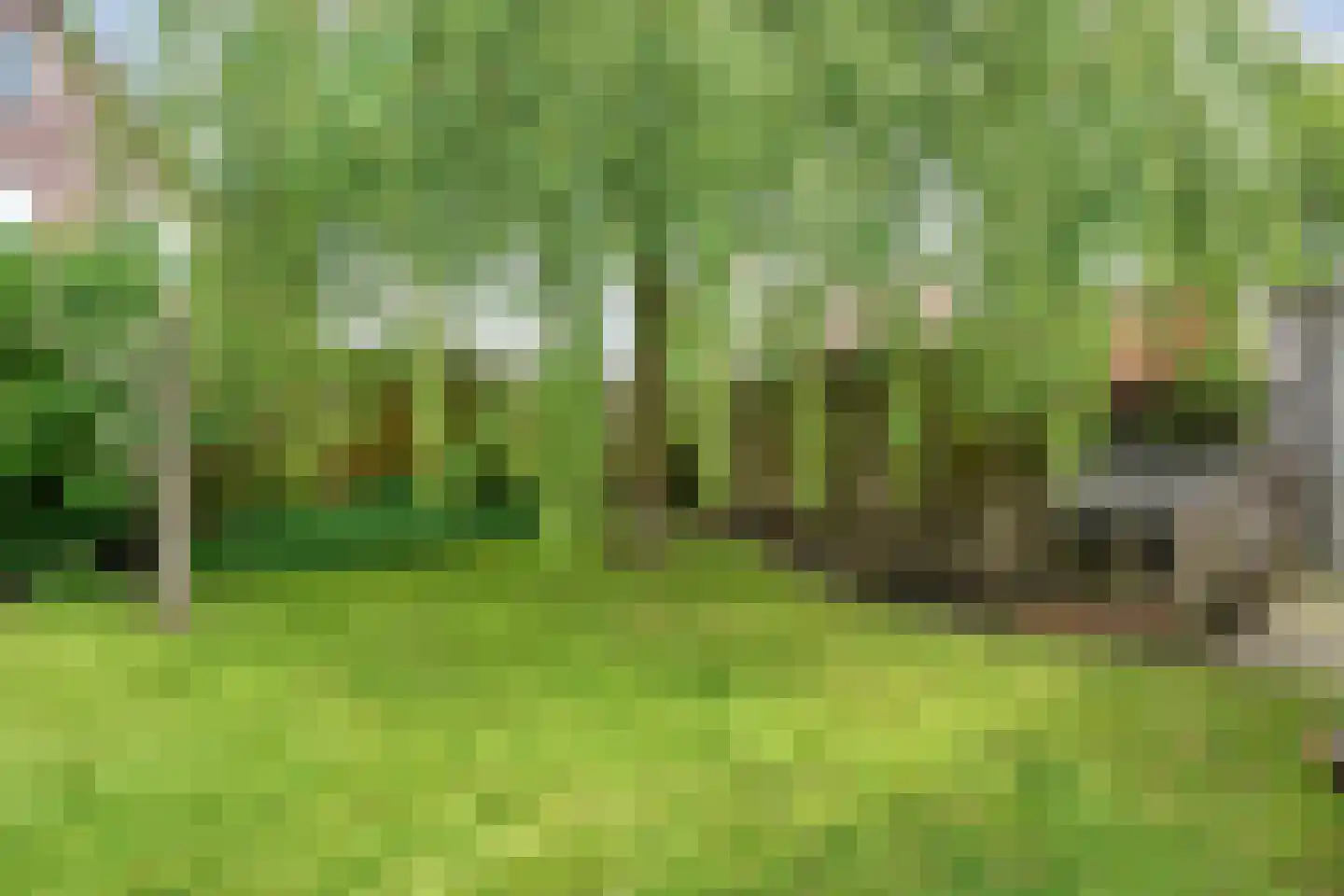 Kerkstraat 30 Lemelerveld thumbnail 36