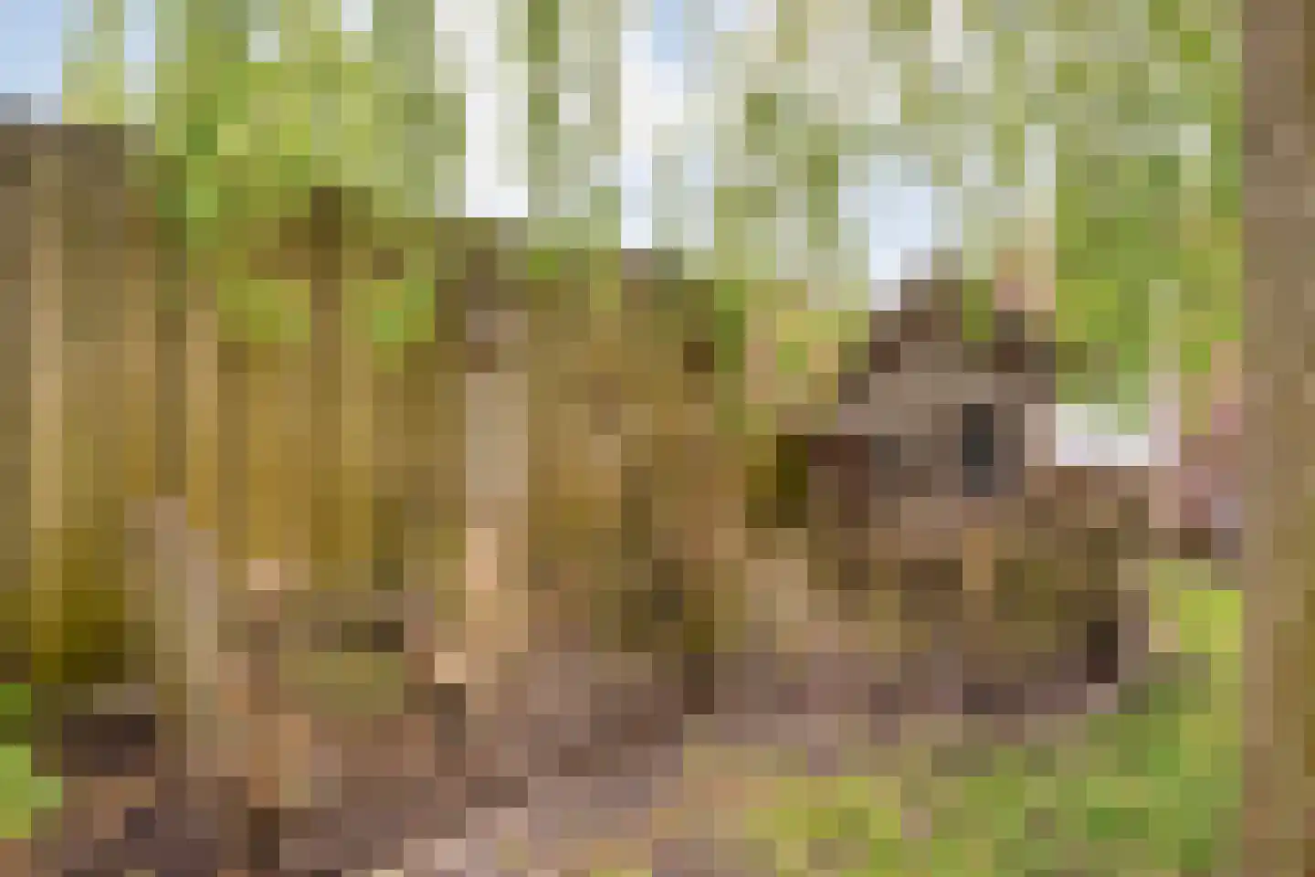 Kerkstraat 30 Lemelerveld thumbnail 37