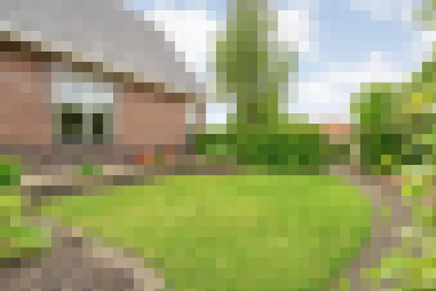 Kerkstraat 30 Lemelerveld thumbnail 42