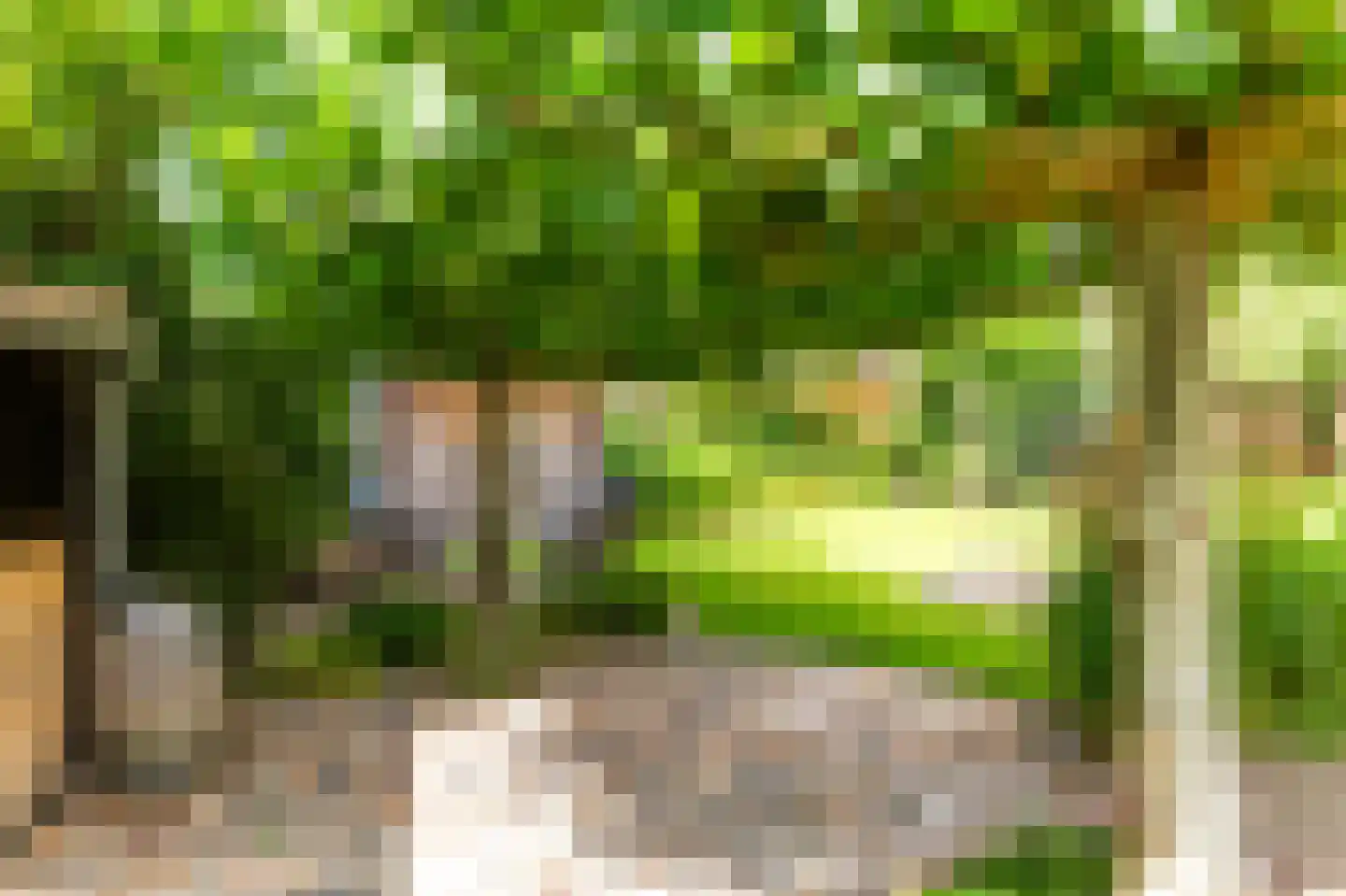 Kerkstraat 30 Lemelerveld thumbnail 51