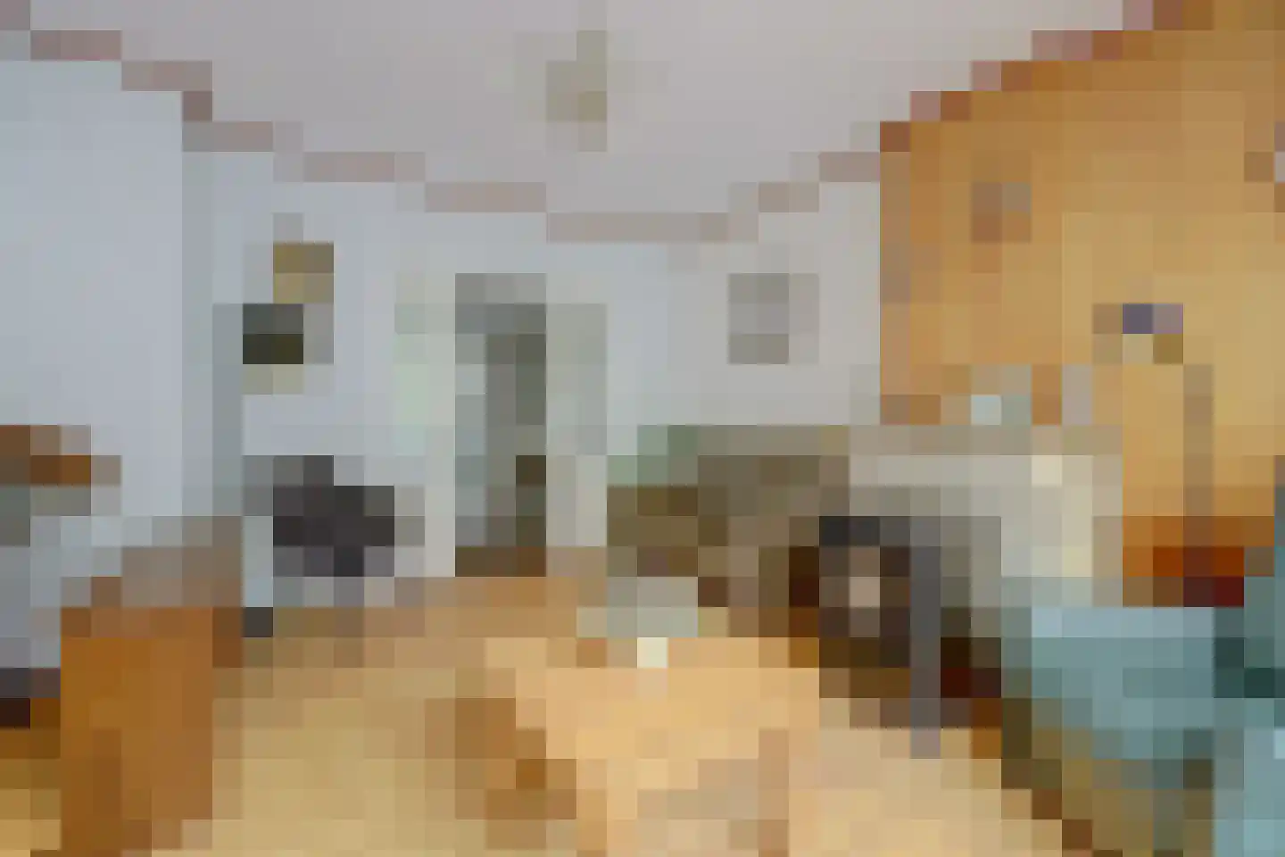 Kerkstraat 30 Scherpenisse thumbnail 12