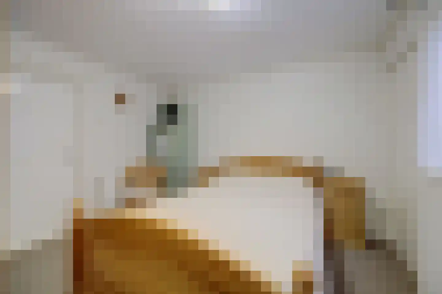 Kerkstraat 30 Scherpenisse thumbnail 19