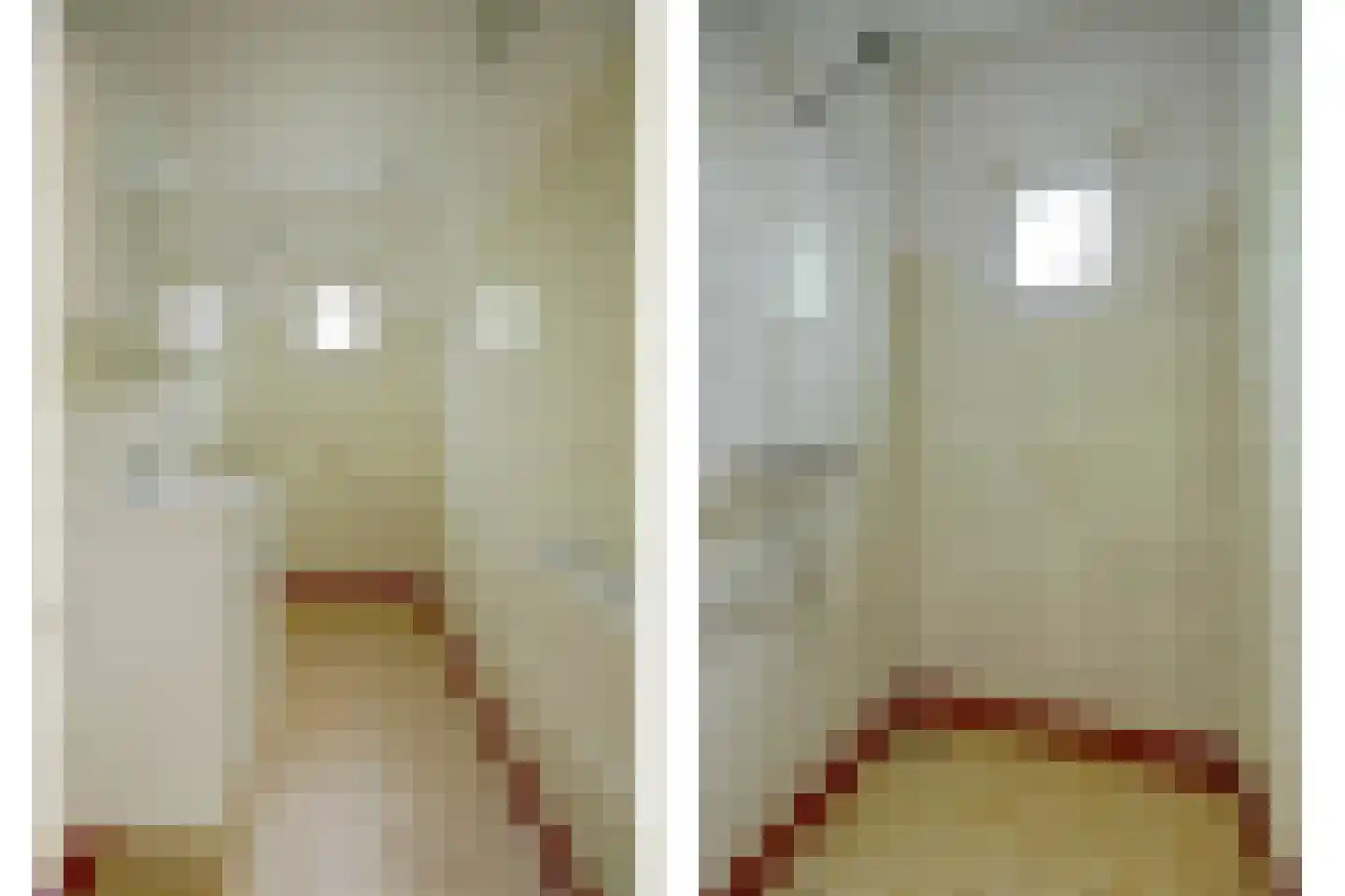 Kerkstraat 30 Scherpenisse thumbnail 21