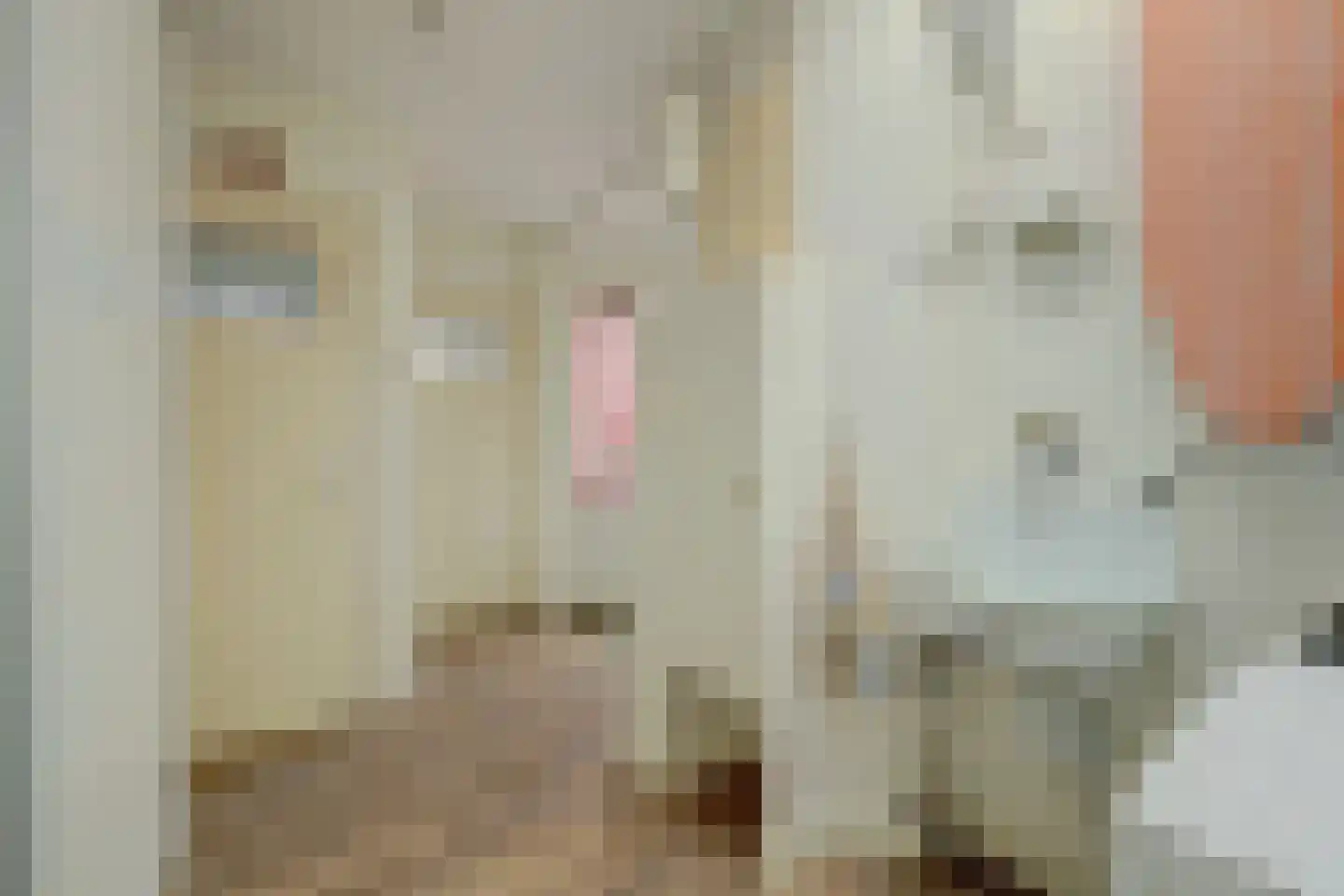 Kerkstraat 30 Scherpenisse thumbnail 22