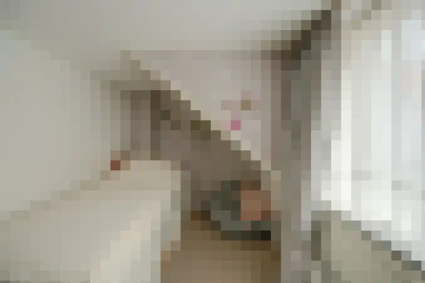 Kerkstraat 30 Scherpenisse thumbnail 29