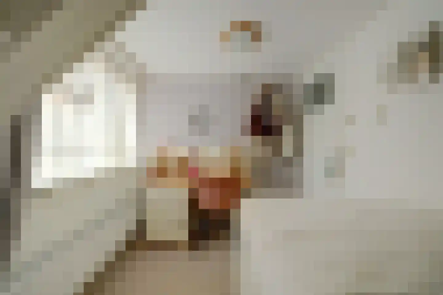 Kerkstraat 30 Scherpenisse thumbnail 30