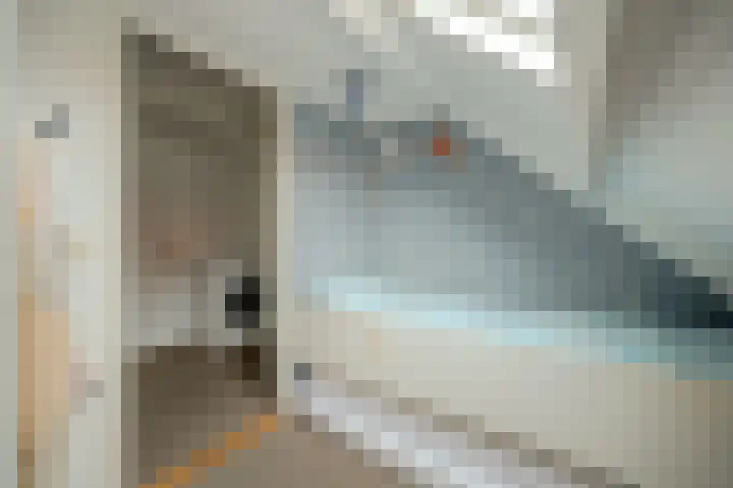 Kerkstraat 30 Scherpenisse thumbnail 36