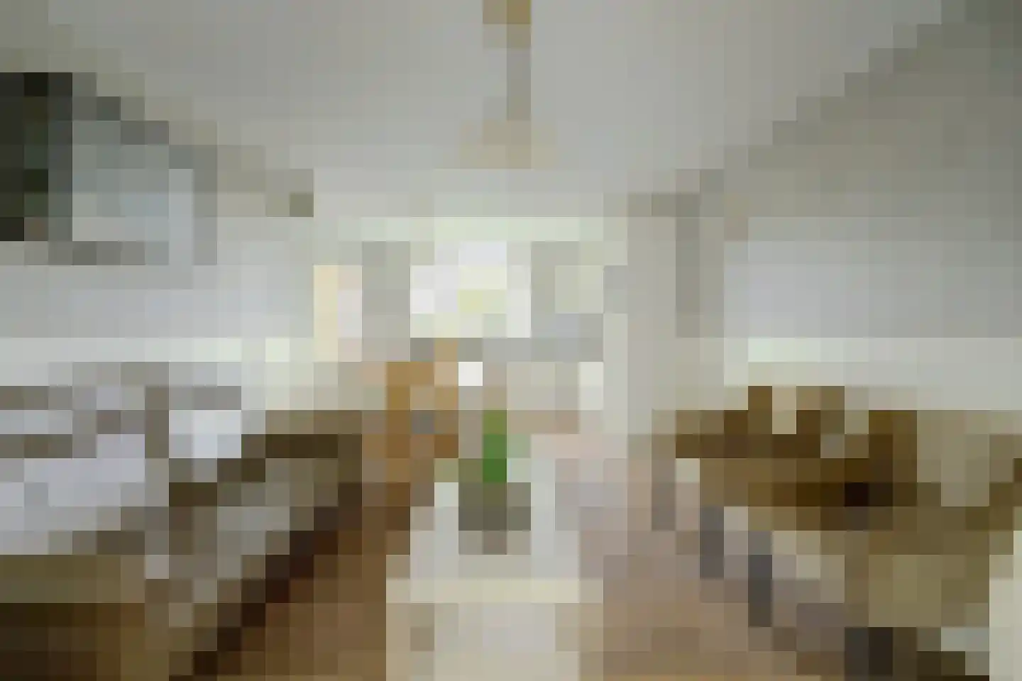 Kerkstraat 30 Scherpenisse thumbnail 4