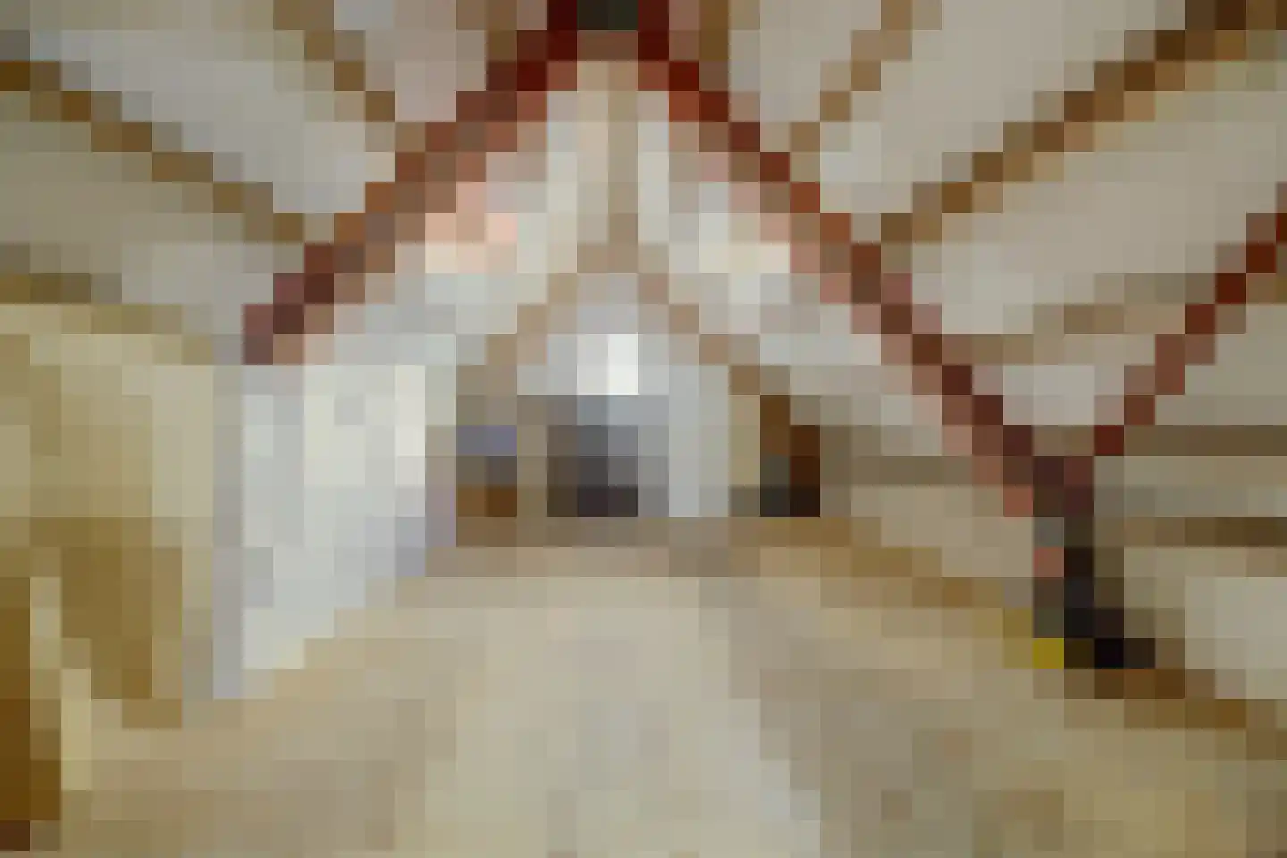 Kerkstraat 30 Scherpenisse thumbnail 46