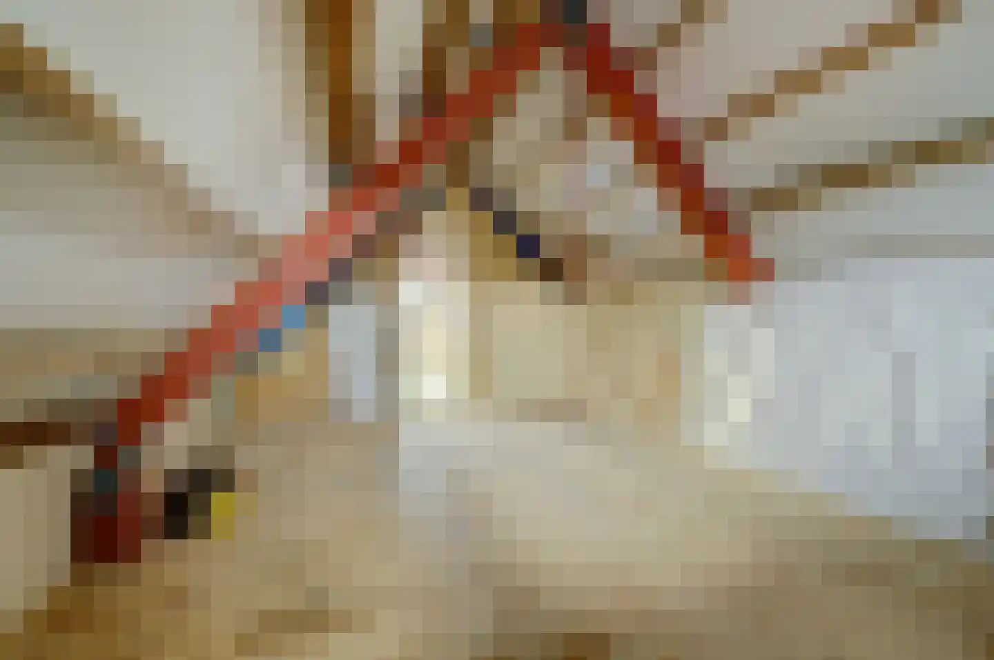 Kerkstraat 30 Scherpenisse thumbnail 47