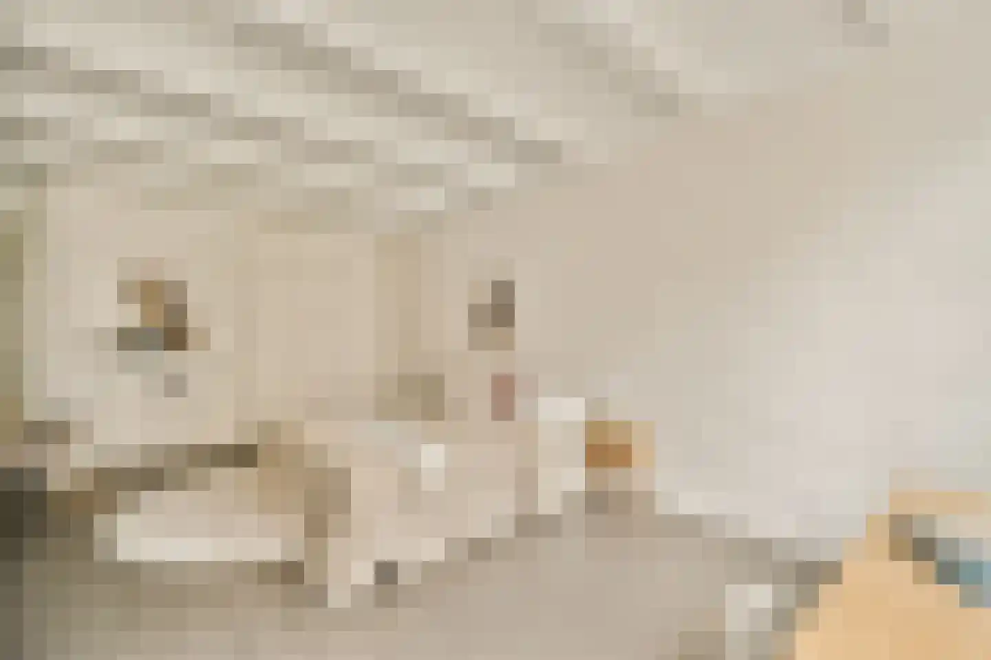 Kerkstraat 306 Amsterdam thumbnail 15