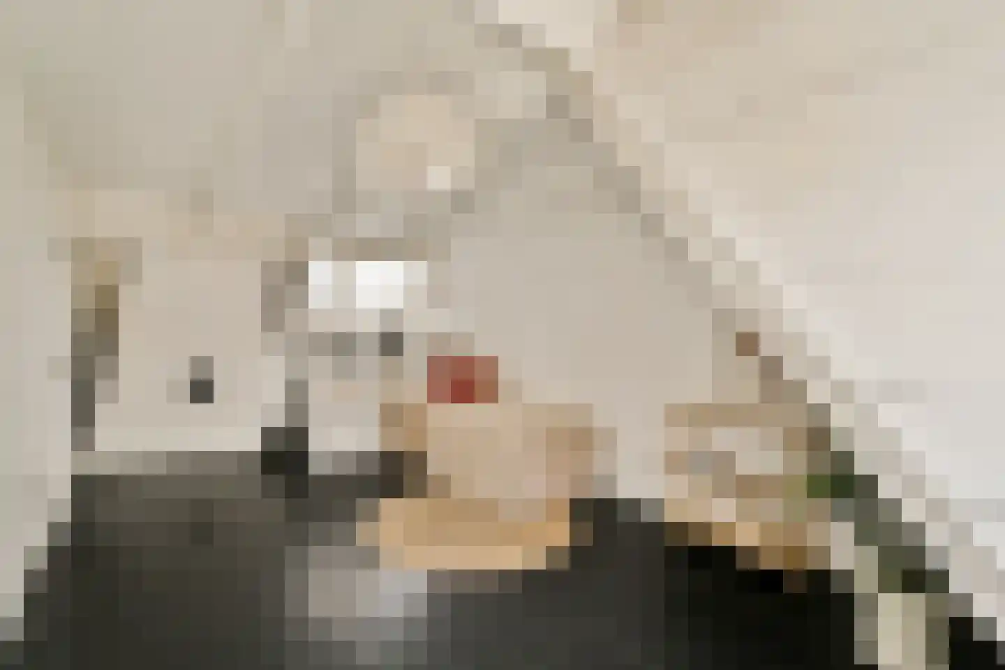 Kerkstraat 306 Amsterdam thumbnail 22