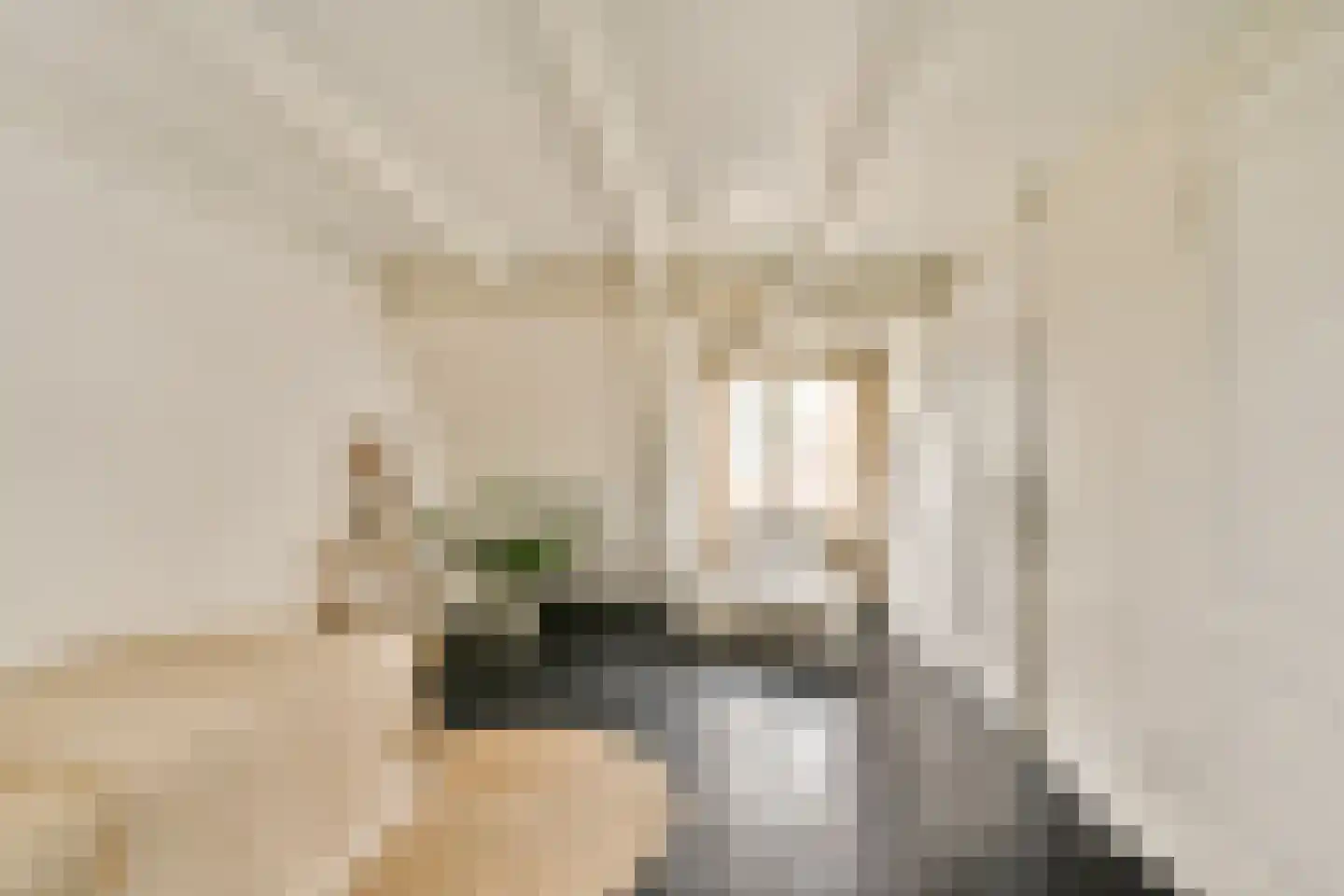 Kerkstraat 306 Amsterdam thumbnail 23