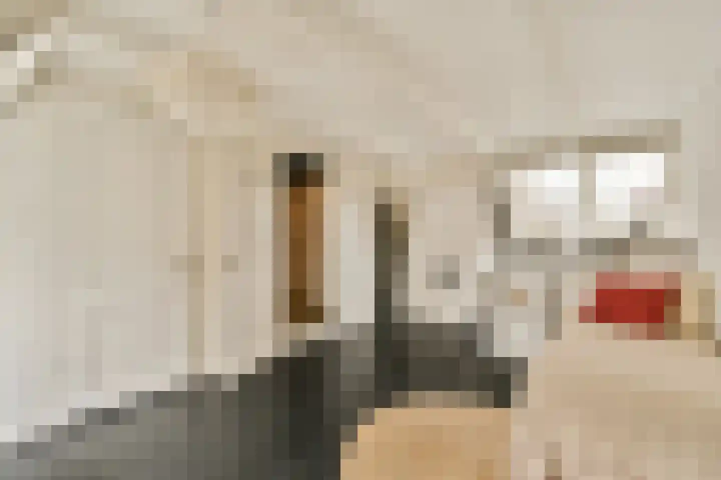 Kerkstraat 306 Amsterdam thumbnail 24