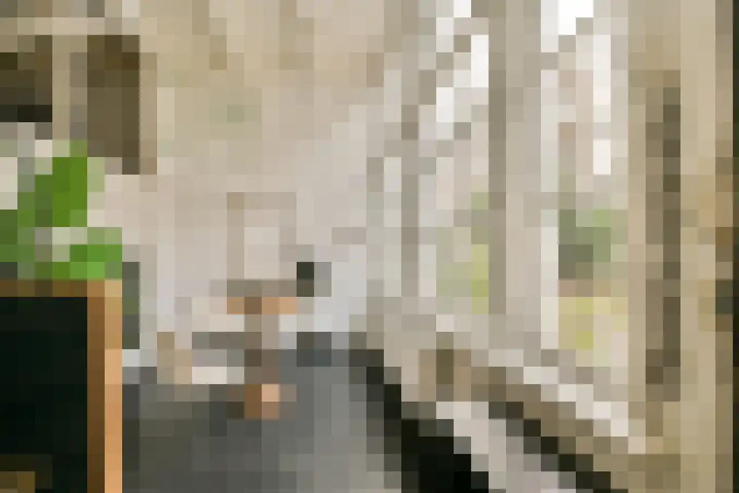 Kerkstraat 306 Amsterdam thumbnail 4