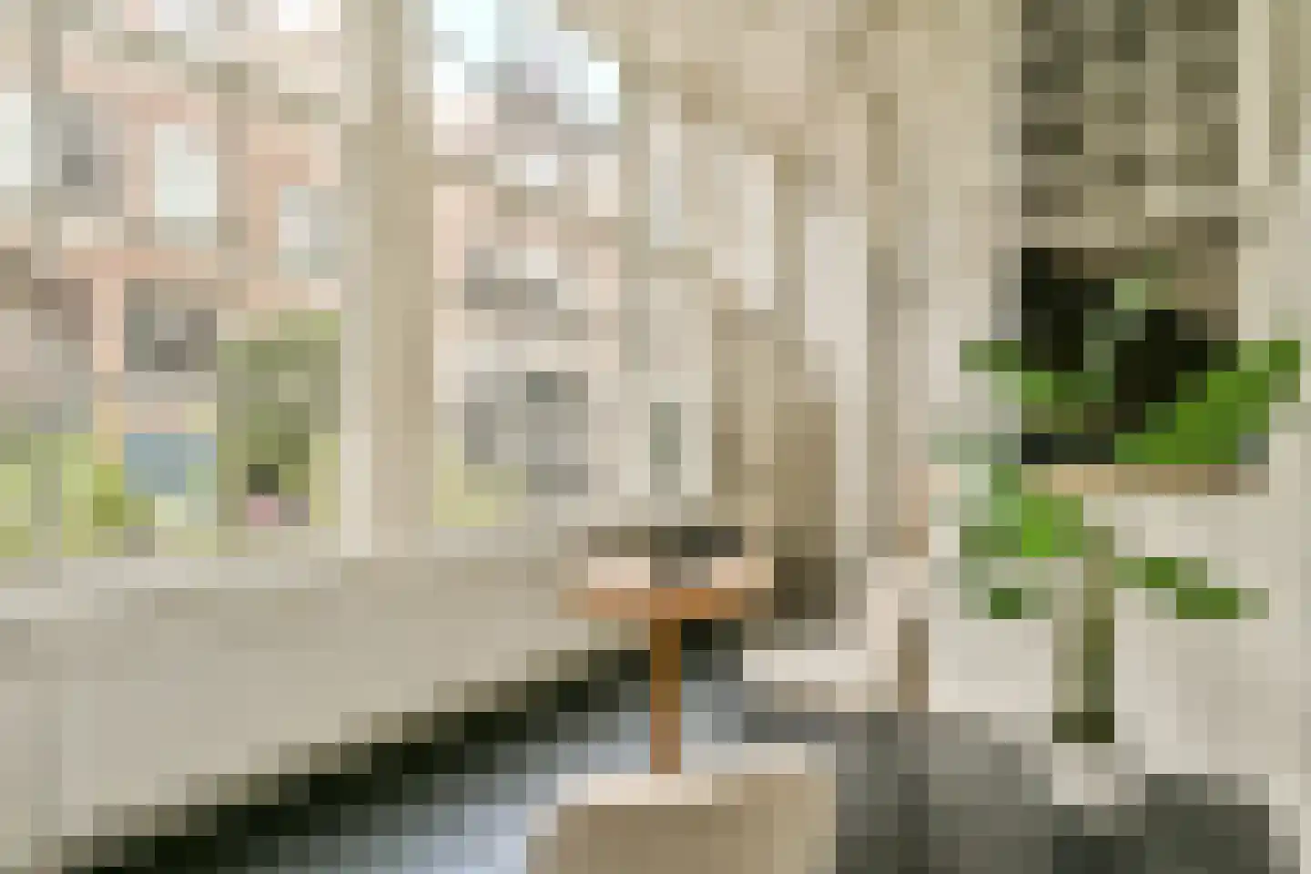 Kerkstraat 306 Amsterdam thumbnail 5