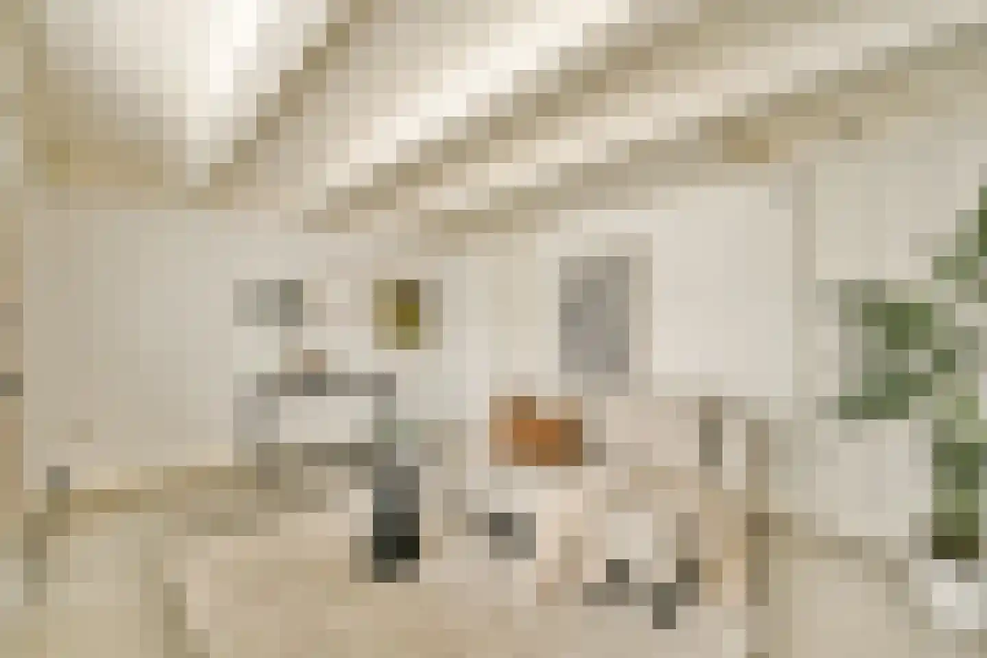 Kerkstraat 306 Amsterdam thumbnail 8