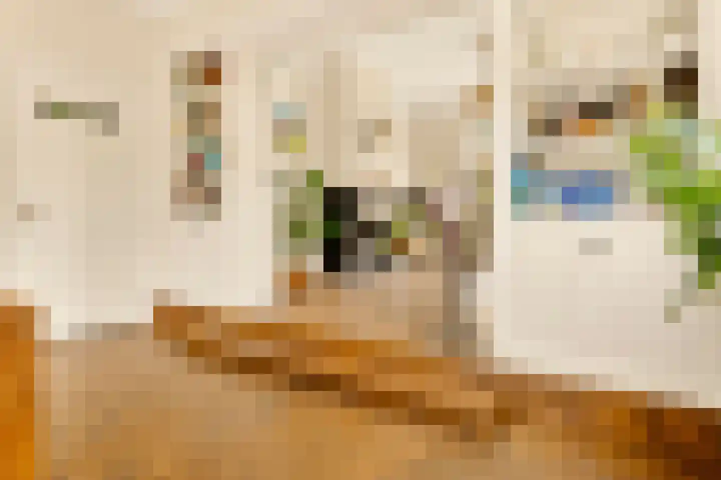 Kerkstraat 31 Arcen thumbnail 14