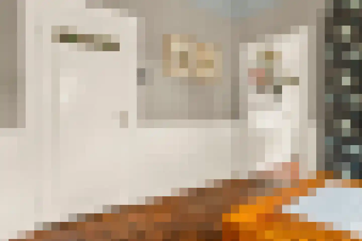 Kerkstraat 31 Arcen thumbnail 20