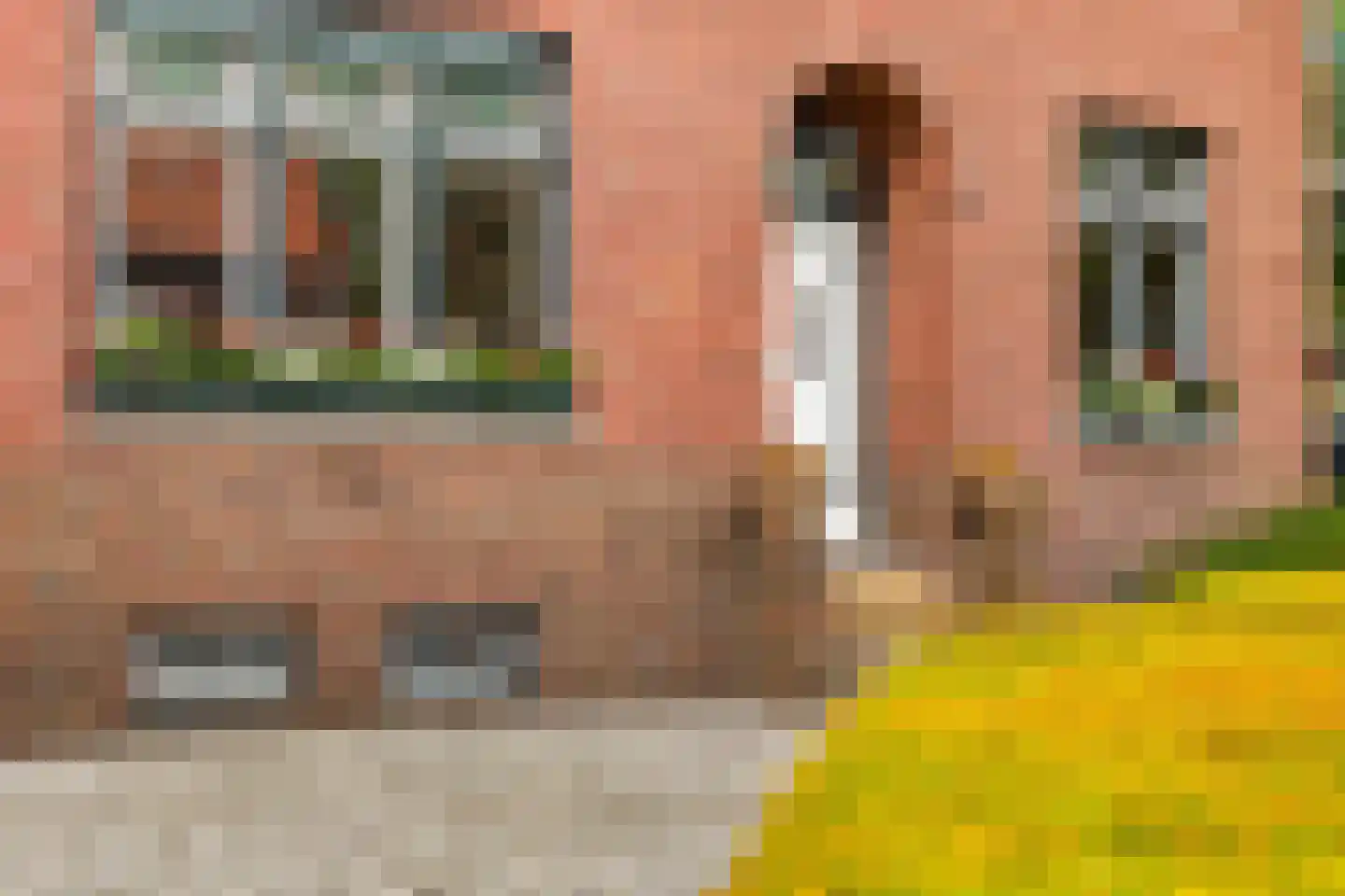 Kerkstraat 31 Arcen thumbnail 4