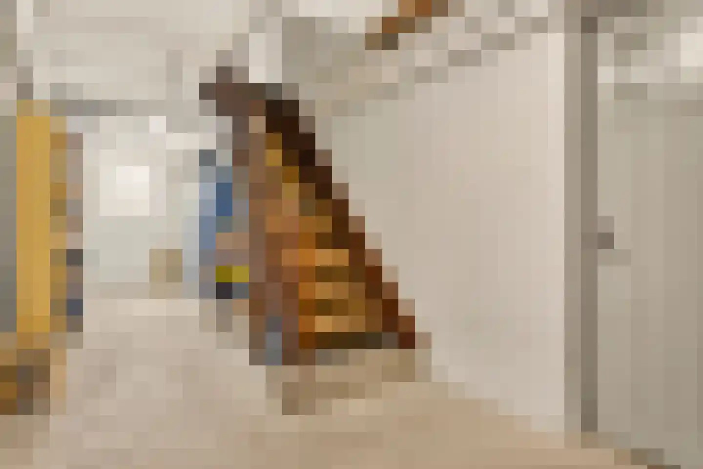 Kerkstraat 31 Arcen thumbnail 48