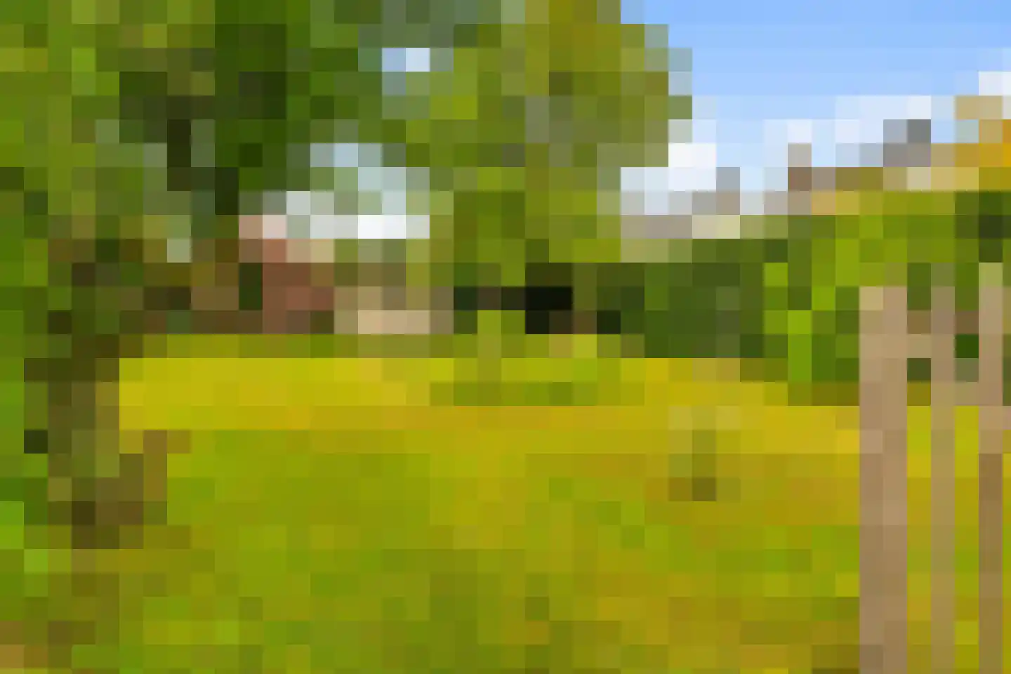 Kerkstraat 31 Arcen thumbnail 58