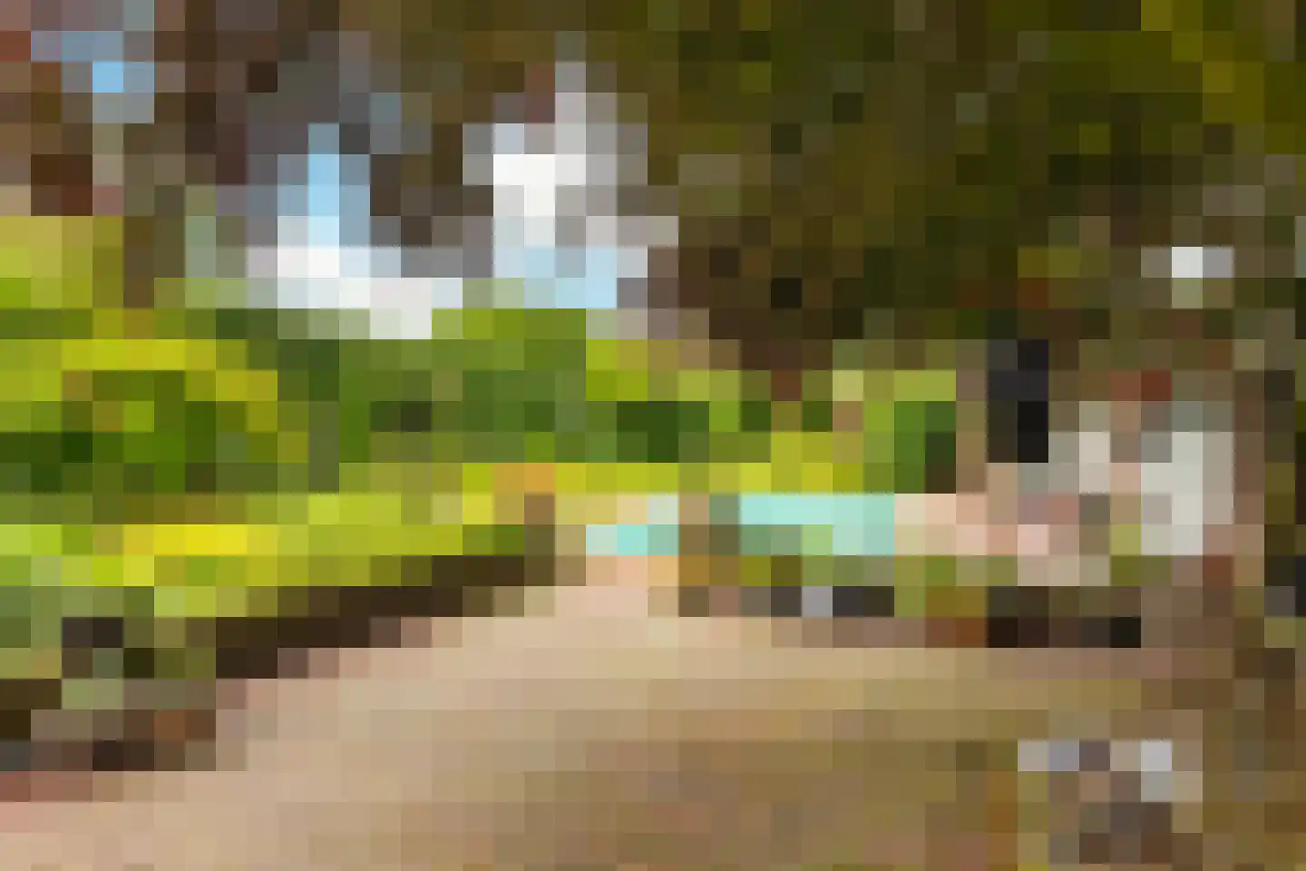 Kerkstraat 31 Arcen thumbnail 63
