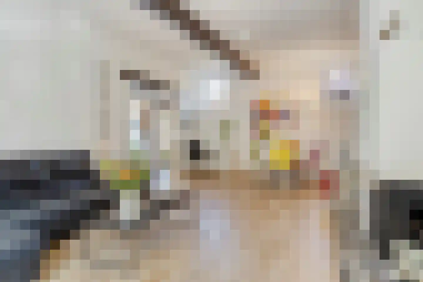 Kerkstraat 31 Eijsden thumbnail 21