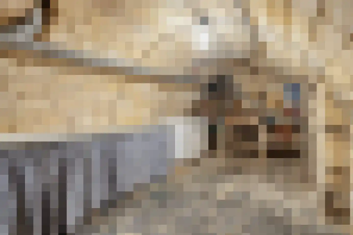 Kerkstraat 31 Eijsden thumbnail 38
