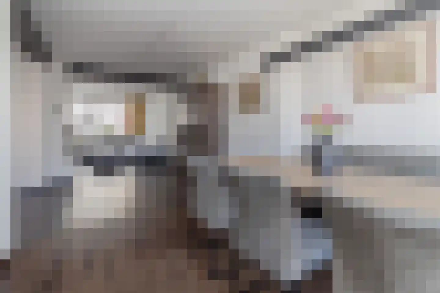 Kerkstraat 31 Sweikhuizen thumbnail 18