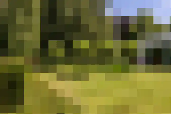 Kerkstraat 31 Waddinxveen thumbnail 10