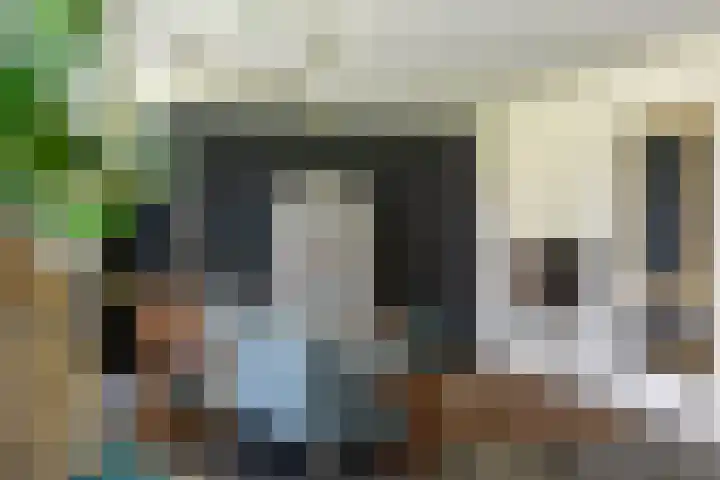 Kerkstraat 31 Waddinxveen thumbnail 13