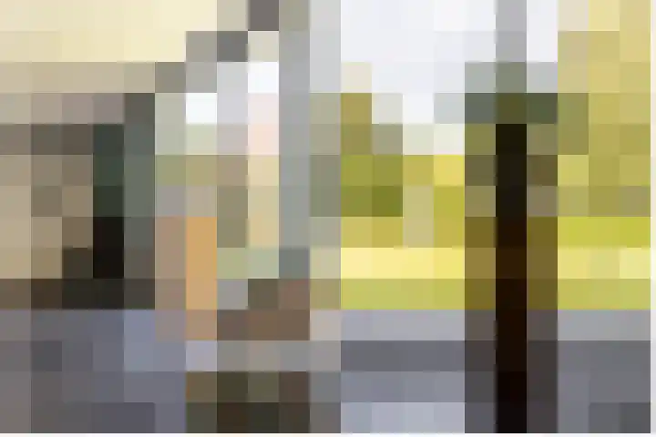 Kerkstraat 31 Waddinxveen thumbnail 19