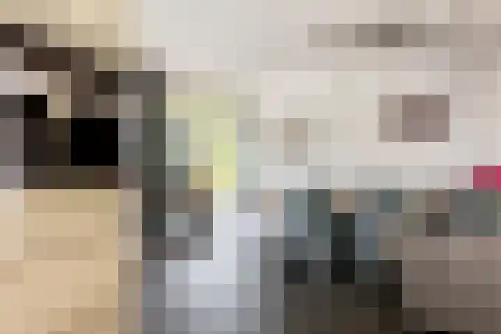 Kerkstraat 31 Waddinxveen thumbnail 27