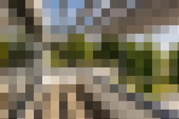 Kerkstraat 31 Waddinxveen thumbnail 44