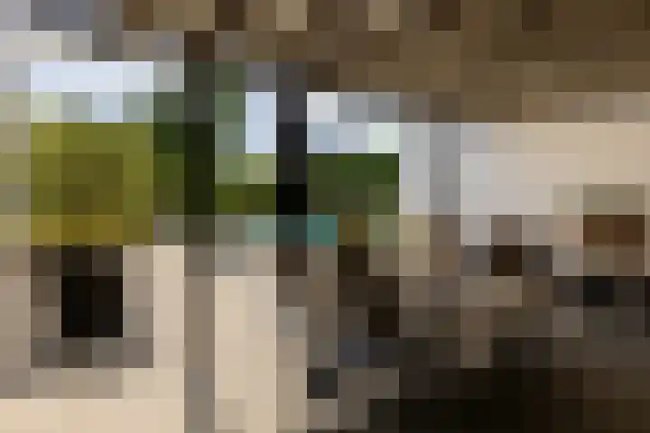 Kerkstraat 31 Waddinxveen thumbnail 52