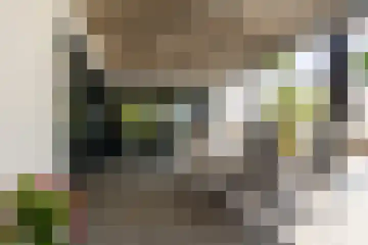Kerkstraat 31 Waddinxveen thumbnail 53