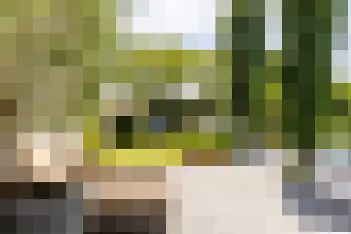 Kerkstraat 31 Waddinxveen thumbnail 54