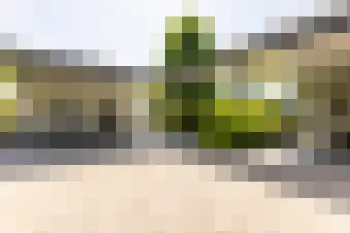 Kerkstraat 31 Waddinxveen thumbnail 6